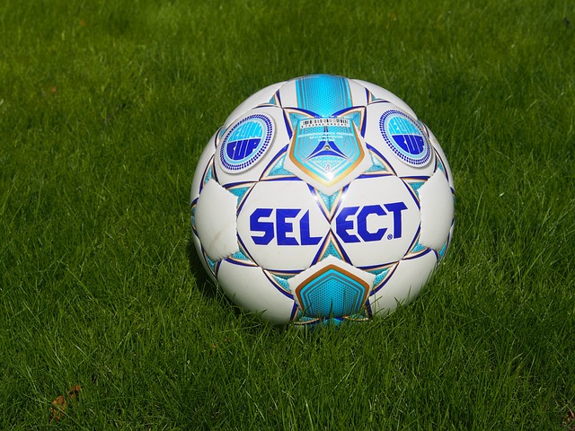 聘请专业医 聘请专业医