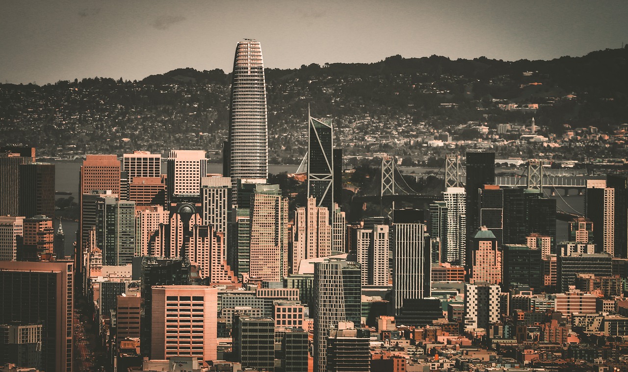 金支持吸引 金支持吸引