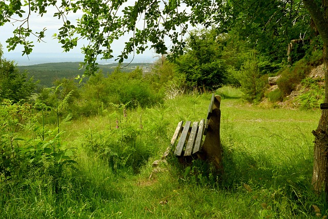 僅僅是增加 僅僅是增加