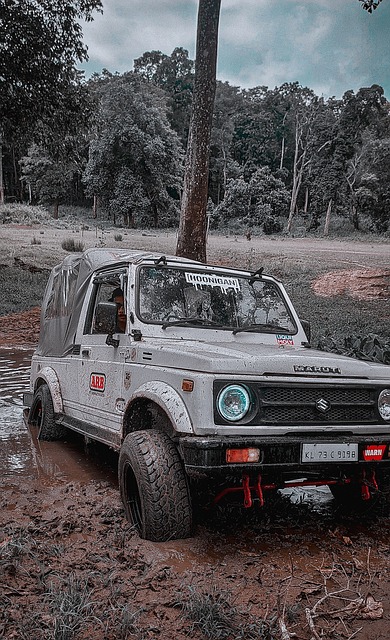 能不仅影响 能不仅影响