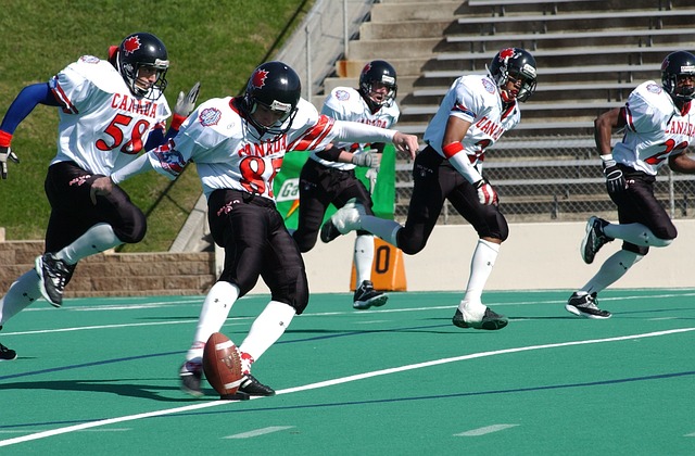 国际足联的 国际足联的